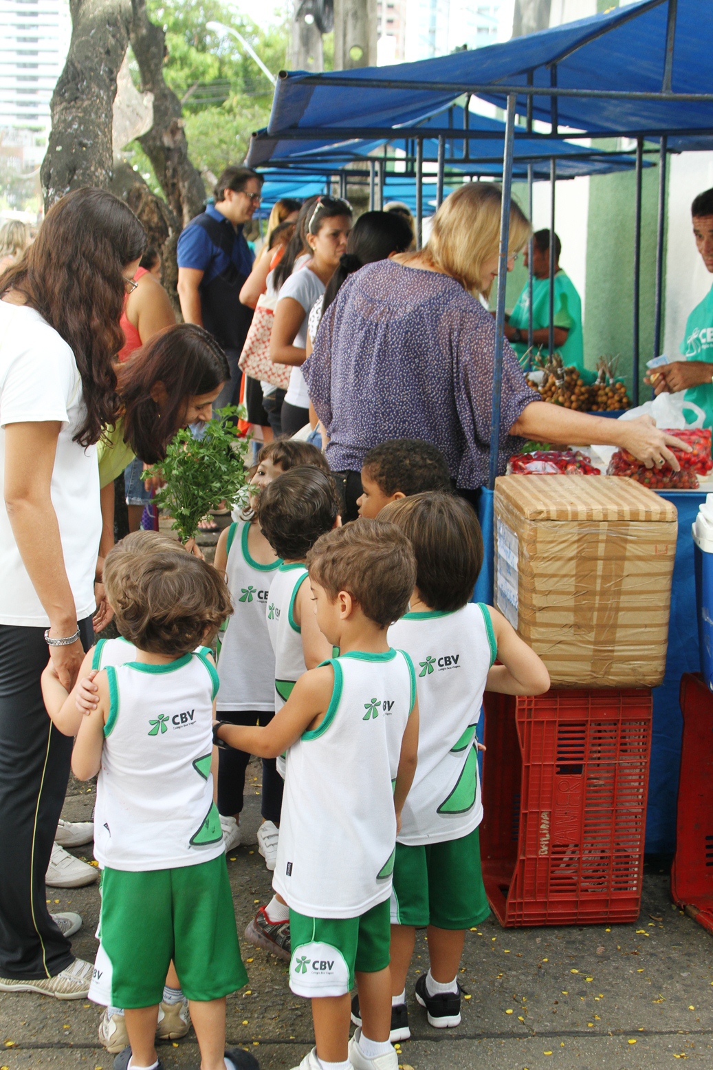 Feira de alimentos orgânicos no Colégio Boa Viagem