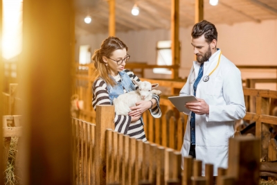 DeVry|UNIFAVIP lança primeiro curso de Medicina Veterinária em Caruaru